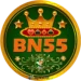BN55 Game Login